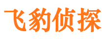 高陵市侦探公司